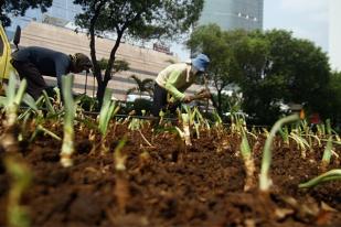 Peremajaan Taman di Jakarta 