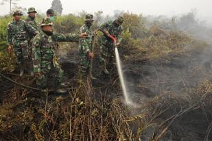 Revisi Aturan yang Bolehkan Bakar Lahan