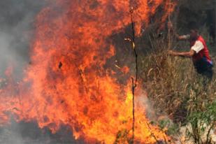 Ribuan Hektar Lahan Perkebunan di Sumsel masih Terbakar