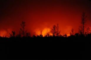 Kebakaran Hutan dan Lahan di Kalimantan Tengah