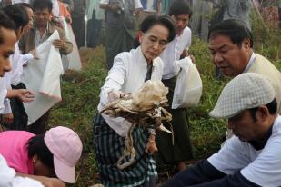 Aksi Bersih-Bersih Lingkungan di Berbagai Negara