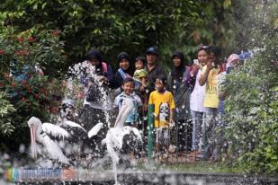 Siang ini 30.000 Warga Padati Taman Margasatwa  Ragunan