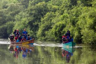 Hutan Mangrove sebagai Benteng Daratan