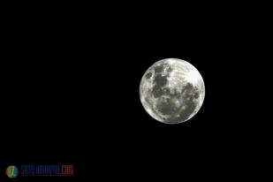 Menikmati Supermoon di Depok