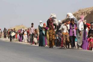 15.000 Pengungsi Yazidi Irak Ditampung di Suriah