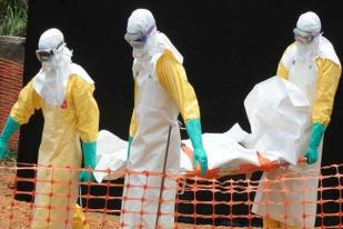 Jumlah Korban Ebola di Kongo Mencapai 32 Orang