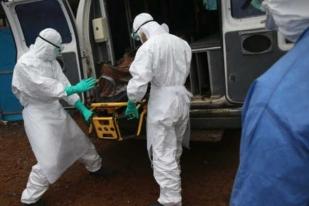 Ebola Menyebar Sembilan Kali Lebih Cepat