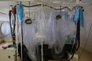 Dua TKI Asal Madiun Negatif Ebola