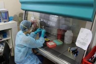 Ilmuwan: Vaksin Ebola 'Menjanjikan'