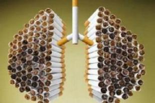 Diskes Riau Canangkan Hari Anti Rokok