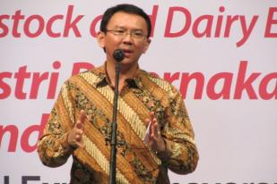 Basuki: Saya Bukan Orang PDIP, Tapi Berideologi Marhaen