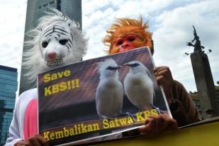 Pandawa Lima  Tuntut Pengembalian Satwa Ke KBS