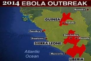 Jumlah Korban Tewas Ebola Capai 7.905   