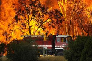 Kebakaran Hutan di Australia Selatan Tidak Terkendali