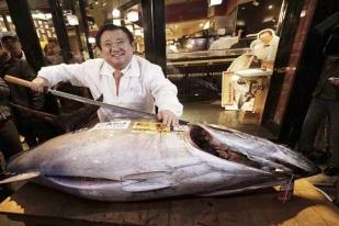 Seekor Tuna Terjual Seharga Rp 480 Juta di Tokyo