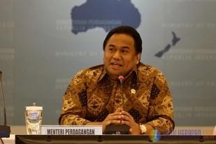 Pemerintah Dorong Penyerapan Karet Dalam Negeri