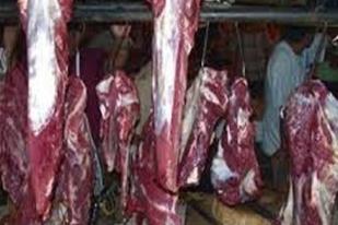 20 Ton Daging Sapi Domestik Disebar Untuk Stabilkan Harga