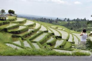 Konsultan UNESCO Tinjau Subak sebagai Warisan Budaya Dunia