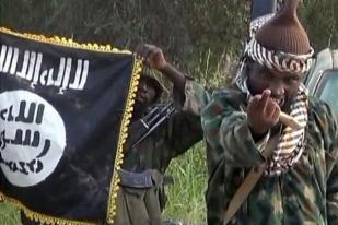 Boko Haram Culik Puluhan Orang di Kamerun