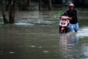 Cara Mengatasi Motor Mogok Saat Terkena Banjir