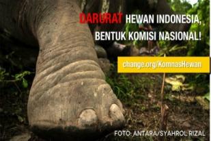 Peluncuran Petisi Komnas Hewan di Change.org