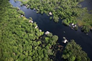 Menyelamatkan Hutan Kampar Melalui Hutan Desa