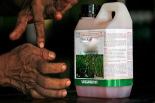 Herbisida Sebabkan  Penyakit Misterius di Nigeria