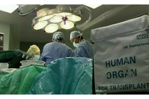 Maroko Kampanye Donor Organ Tubuh