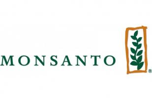 Ribuan Berdemo Menolak Bioteknologi Monsanto