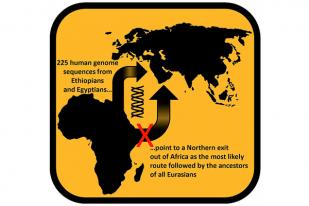 60.000 Tahun Lalu Manusia Tinggalkan Afrika Lewat Mesir