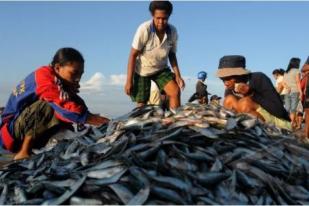 Harga Ikan Naik 20 Persen Jelang Puasa