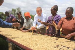 Nestle Rencanakan PHK 15 Persen Karyawan di Afrika