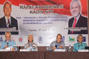Kadin: Ekonomi Indonesia Goyah karena Bergantung Pada Komoditas