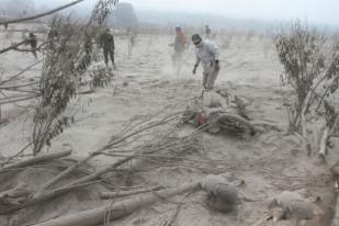 Presiden: Pengelolaan Penanganan Korban Sinabung Diubah