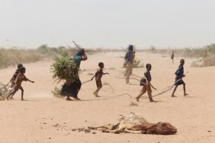 Botswana Berupaya Atasi Kekeringan Terparah dalam 30 Tahun