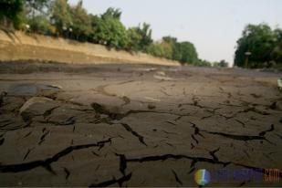 Pemerintah Siapkan Dana Rp 3,5 Triliun Atasi El Nino