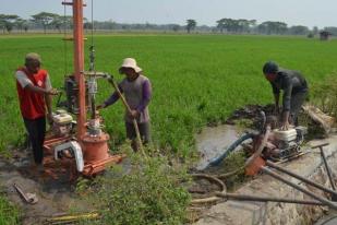 Mentan Instruksikan Penyelamatan "Standing Crop"