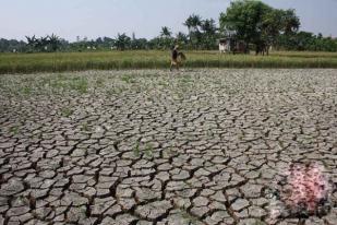 BMKG: Sumut Tidak Terkena Dampak El Nino