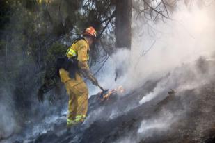 Kebakaran Hutan di California Hanguskan 800 Kilometer Persegi