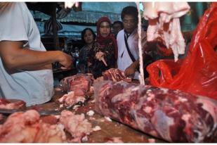 Mentan: Impor Sapi Bakalan Sesuai Kebutuhan