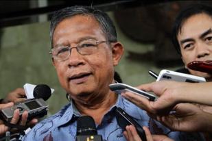 Darmin Nasution Pastikan Impor Sapi Indukan Juga Dibuka