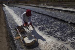 Lima Perusahaan Beli Garam Rakyat di Pamekasan