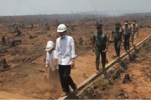 Presiden Perintahkan Cabut Izin Perusahaan Pembakar Hutan