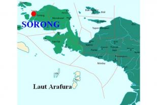 BMKG: Gempa Susulan Sorong Capai 35 Kali