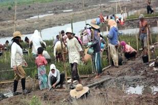 Setelah Empat Tahun, Alih Fungsi Hutan Mangrove Langkat Disidangkan