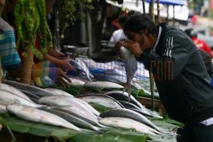 Rupiah Nyaris Sentuh Rp 15.000, Mengapa Rakyat Tak Panik?  