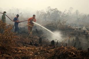 Badrodin dan Luhut Pertanyakan Keseriusan Sinar Mas Atasi Kebakaran