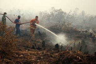 PDIP: Hujan Sudah Turun, Pansus Karhutla Bahas Apa?