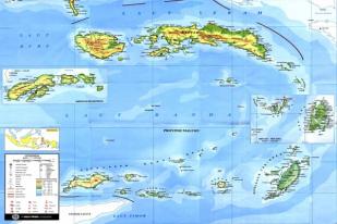 Pilkada 2015: Inilah Pasangan Calon Wali Kota dan Bupati Maluku 