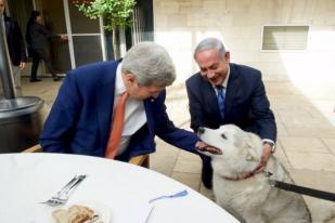 Netanyahu Minta Maaf, Anjing Kesayangannya Gigit Anggota DPR